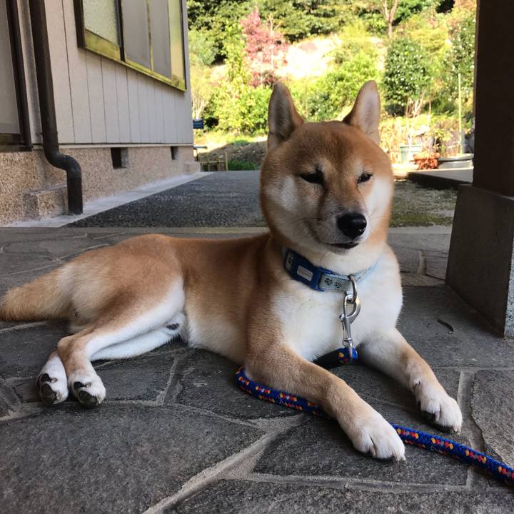 C92071b5 ada1 4698 a13e 3e12db9ca8b4 1603781867708