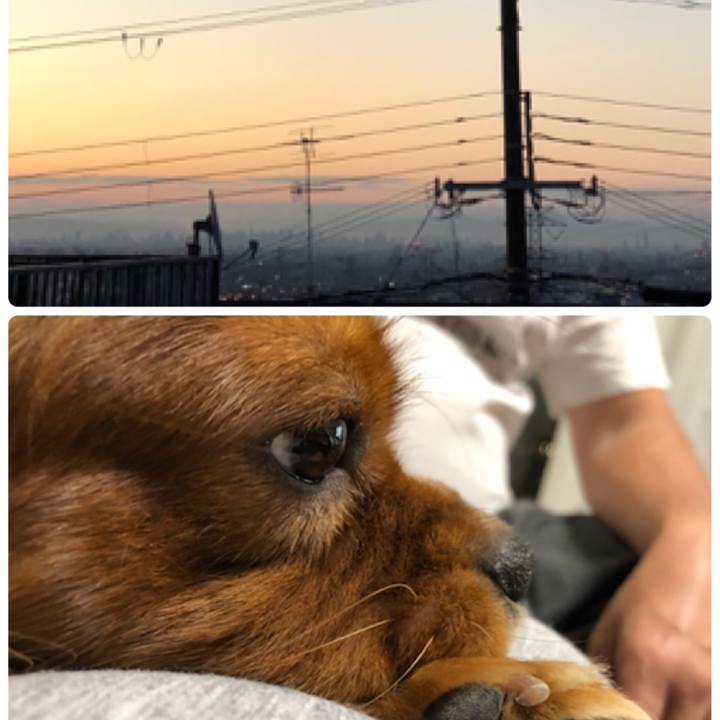 C920c630 6aeb 4e23 83c5 5ddc40cd5ea3 1539814284958