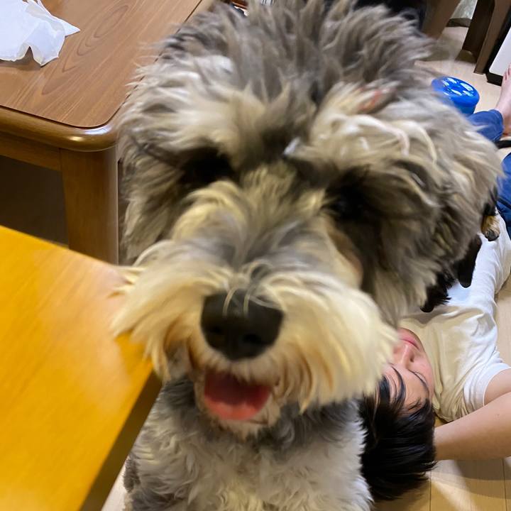 C92138bf 4c20 4c52 bc70 ee186bf61e86 1587906157549