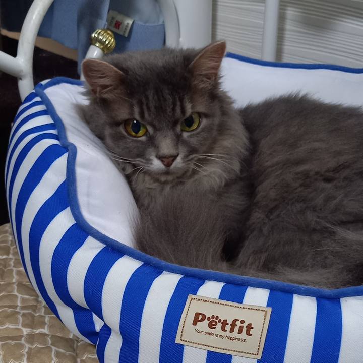 C9214b7d 6837 495e 91f1 b0ec1a005daf 1660350493125