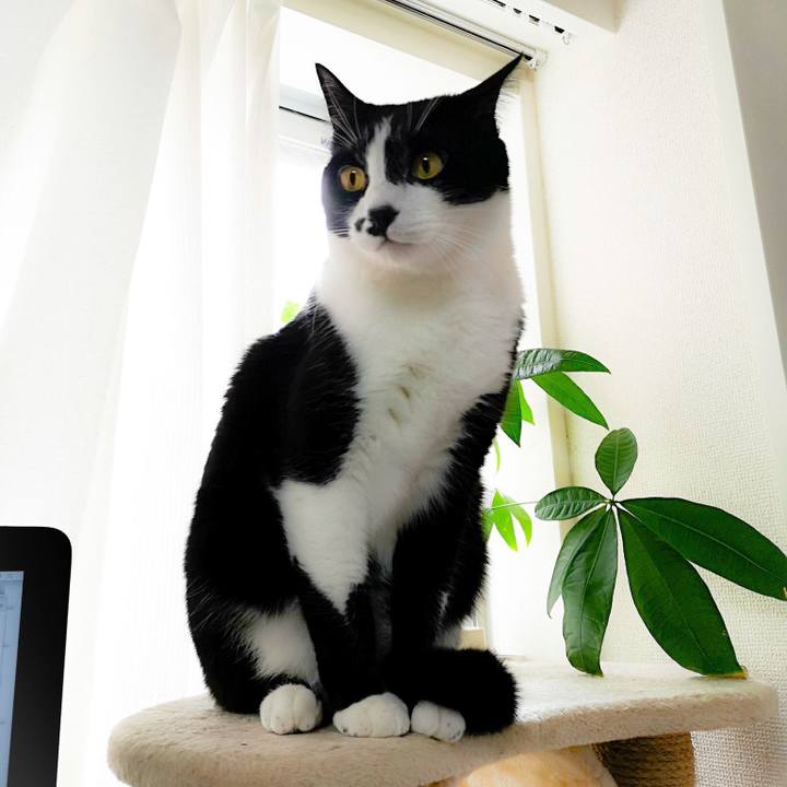 C9215f94 0451 46a2 bd8b 619388c8eff0 1551481157290