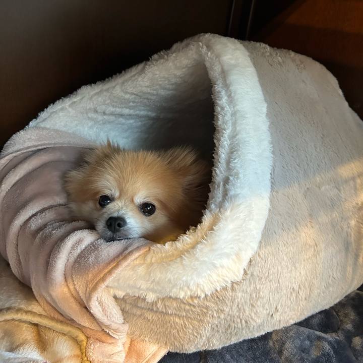 C92172c0 ea67 4383 a399 ce02afff91e3 1731716408818