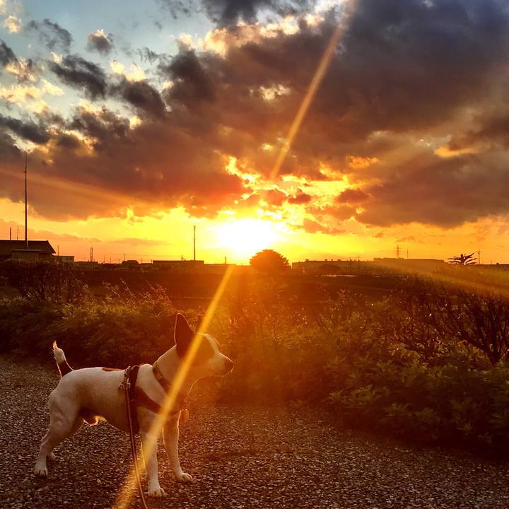 C921b467 4222 44a1 be2d 5ef02f0cdb06 1512986262792