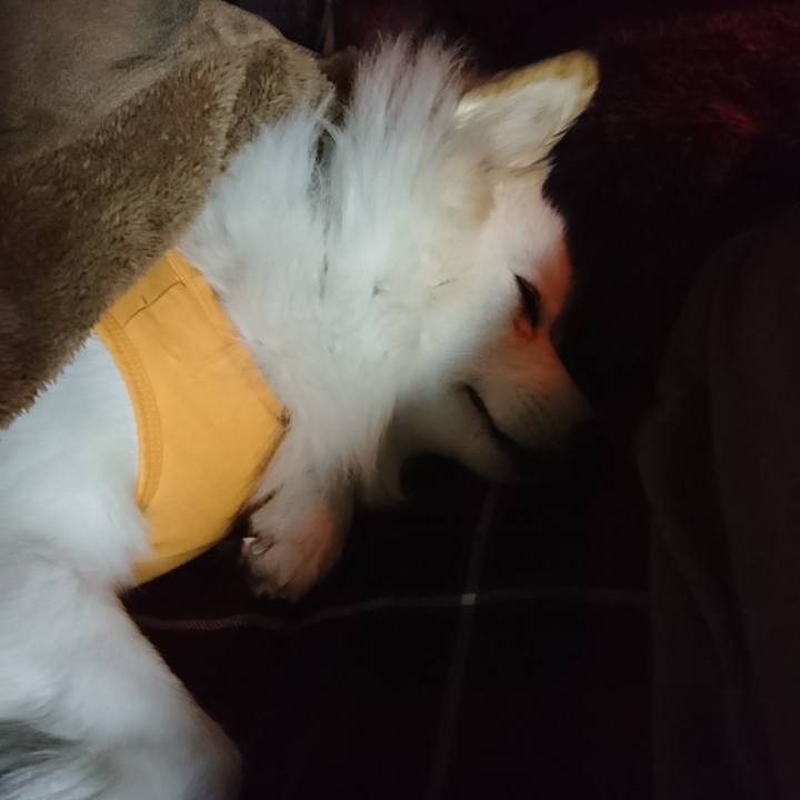 C9221b95 5083 4759 9629 fec1e4d06791 1510259234877