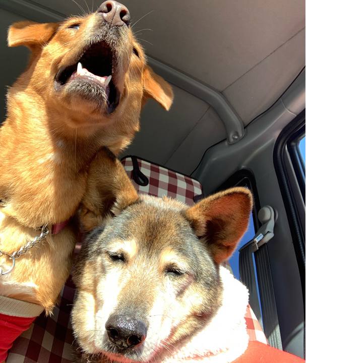 C92223b8 0adf 405f ac6b 467bf4190bfb 1576809626157