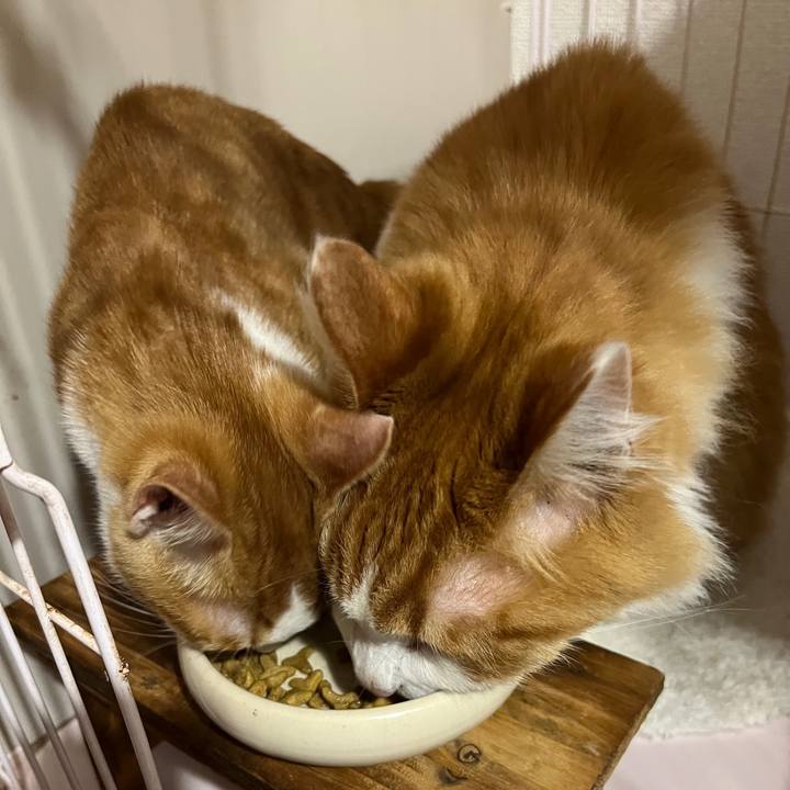 C922297f 3076 45dc 873b 1c344dc67df8 1636157490822