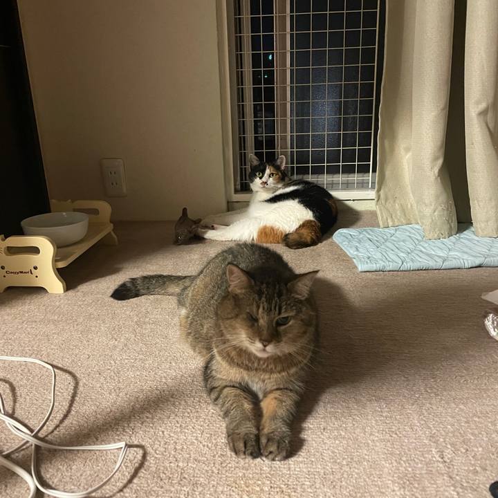 C92259e4 d1d8 4190 9e00 7fdfe8144e6f 1753536895779