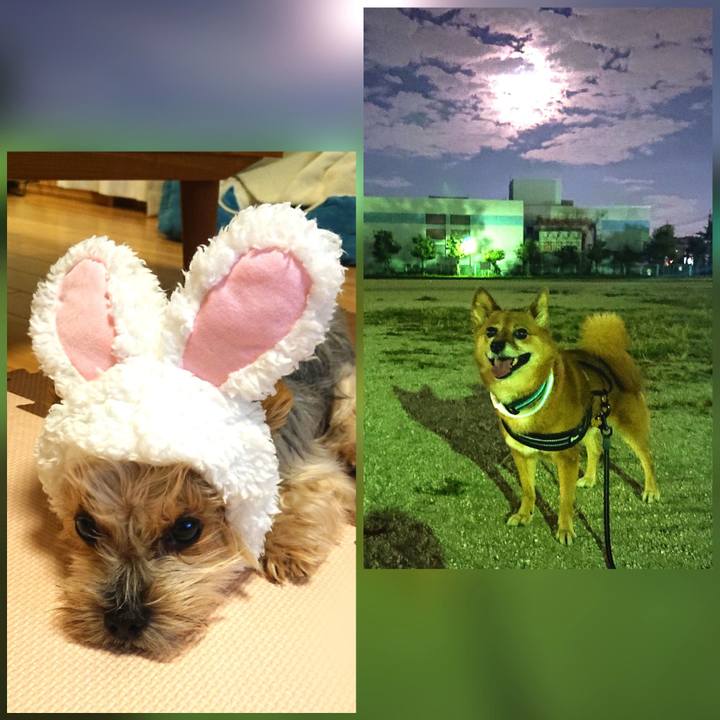 C9226a89 000d 4dc4 a03f b7109617b1c4 1632224433195