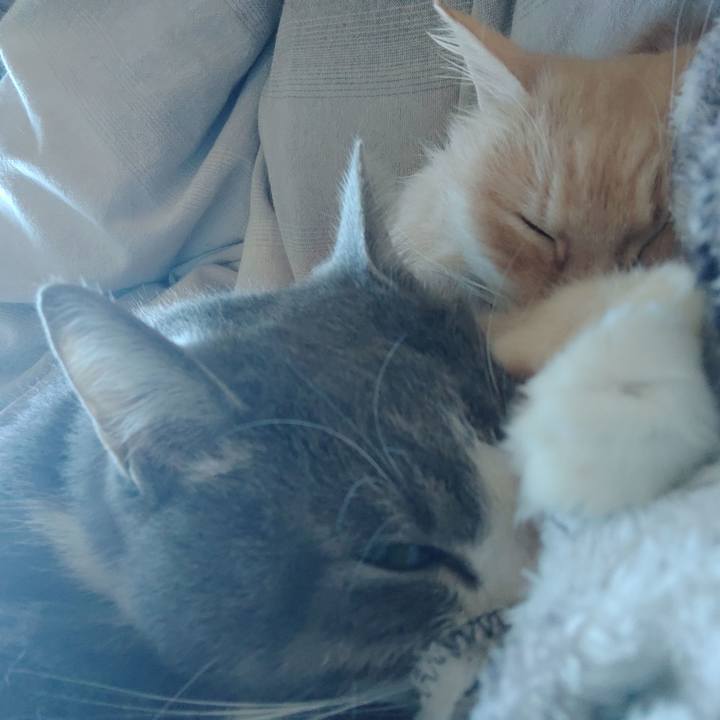 C9227302 cd47 45bc 81b8 2b158f3e4c3e 1675568220474