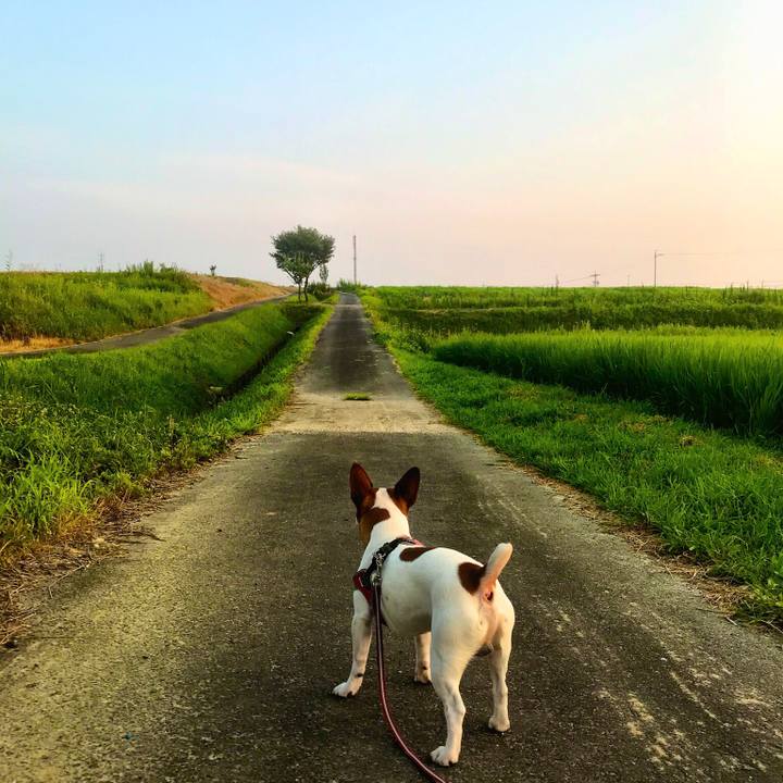 C922b242 1075 4186 9004 7df167cdba62 1531911282801