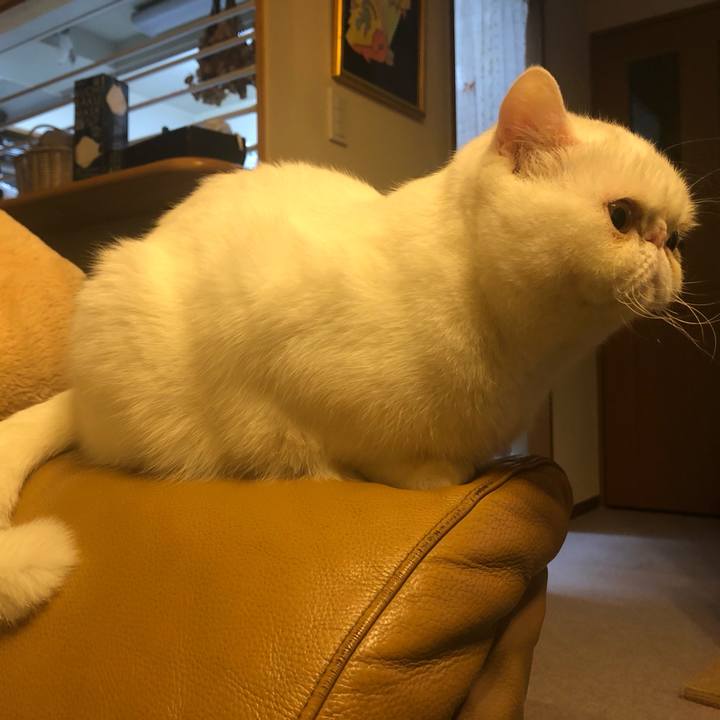 C92339ac b926 471c a9bb 1455b1e342b1 1641809585405