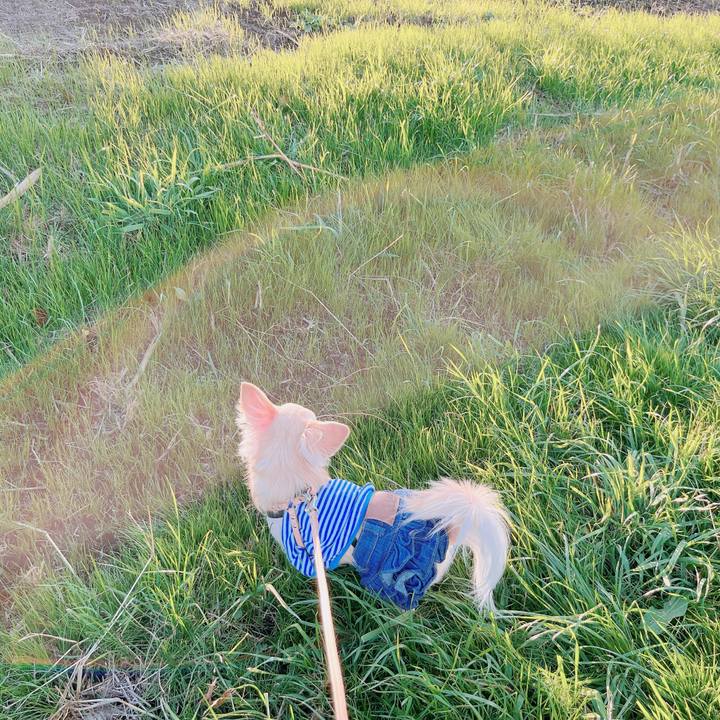 C9233a48 774e 4a84 bfe2 6ccd8df0dc83 1668583247827