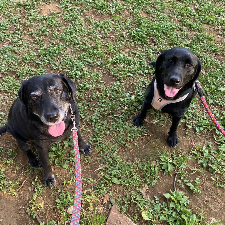 C9234945 db58 4b8b a9e0 362772704b14 1627906433913