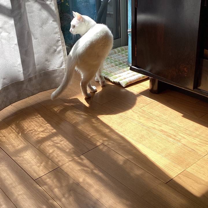 C923906e 5fd5 4da8 94c4 92361fbd528a 1648090802240