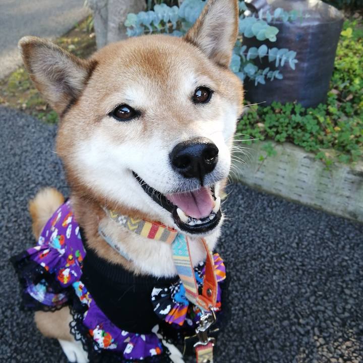 C923cb55 92bc 47de a867 53227ebc6137 1667209626661