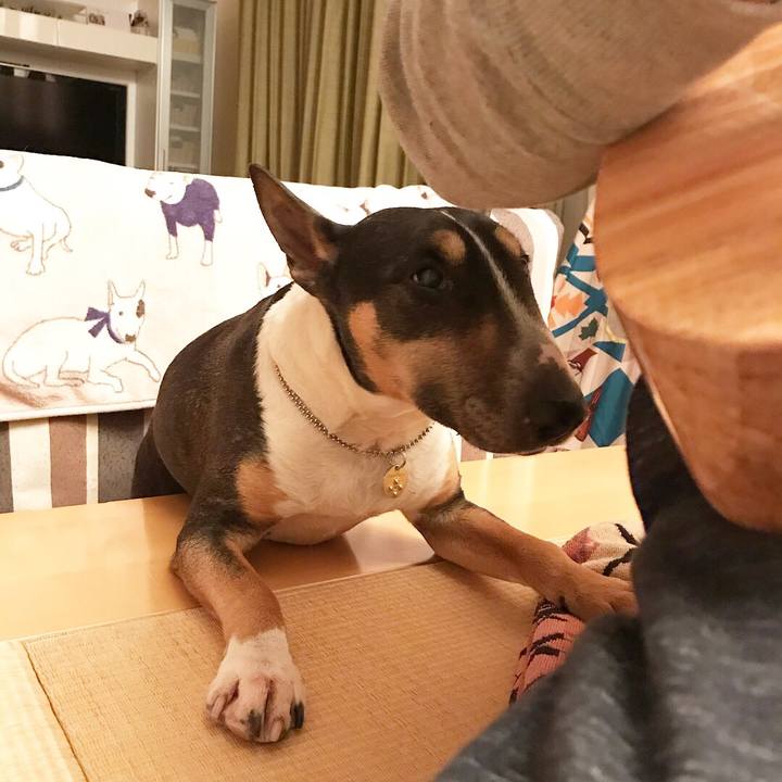 C9241fb4 d27d 41fd 87dd ab0a60d0930d 1516620583245