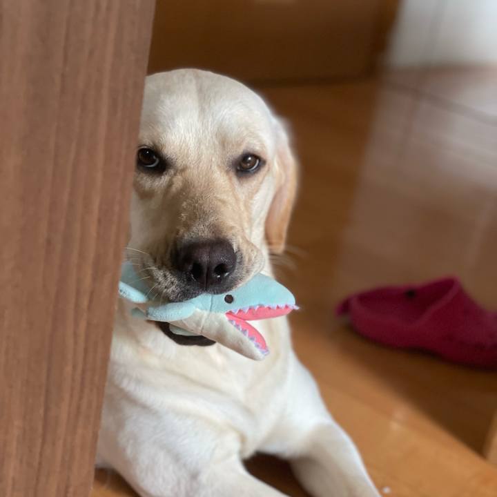 C9242dfe 8d45 40e9 a74f 123f8e39ec07 1661053736140