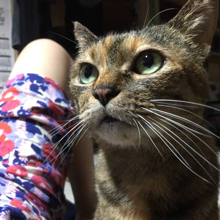 C924b0ae 0a73 4065 bd12 5b3653082933 1528798607889