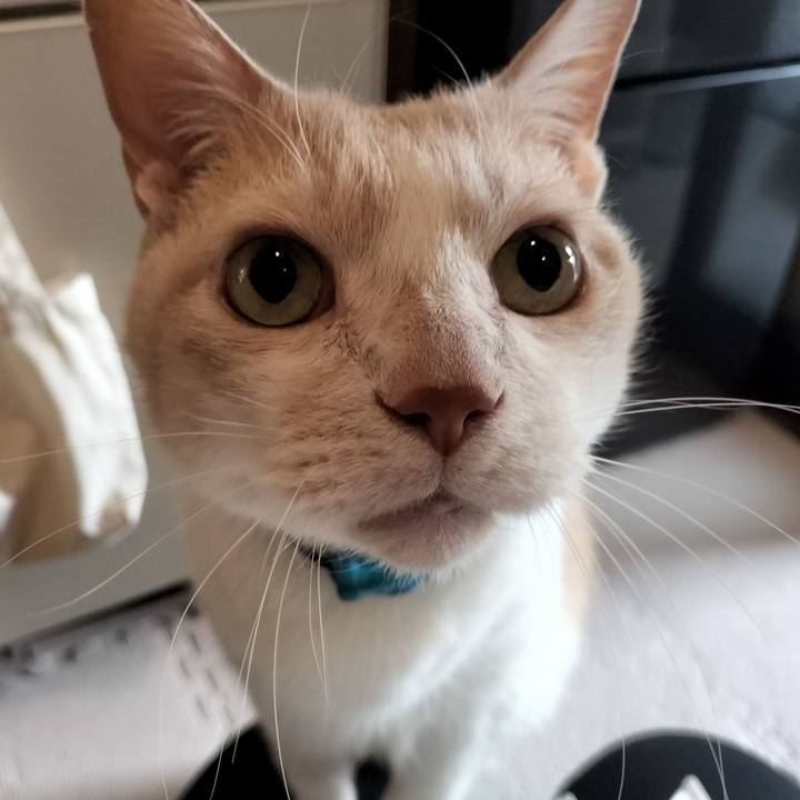 C924c7a5 4ef0 4e24 826d 97689bff41c6 1646259260523