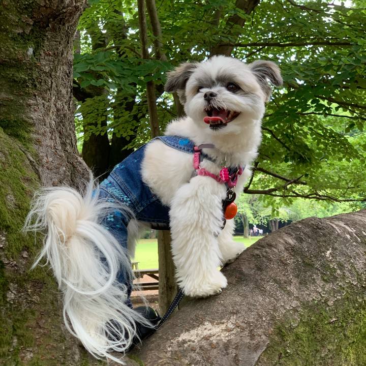 C924f7da 8bec 4714 8831 8606aaf464cb 1623067990129