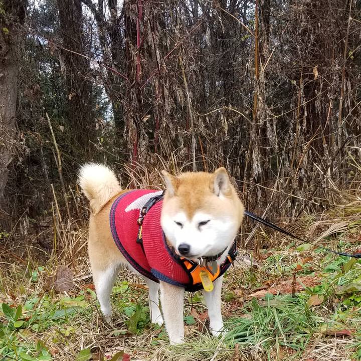 C924fe8a b269 4f66 8714 d60690401c26 1607839342355