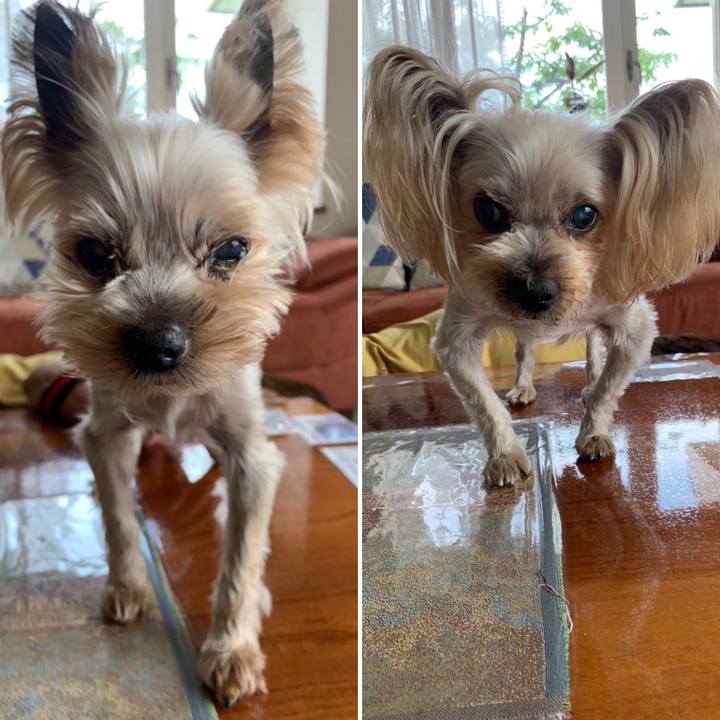 C9250efe 9022 4e86 91fa af7a212c9275 1687508917525