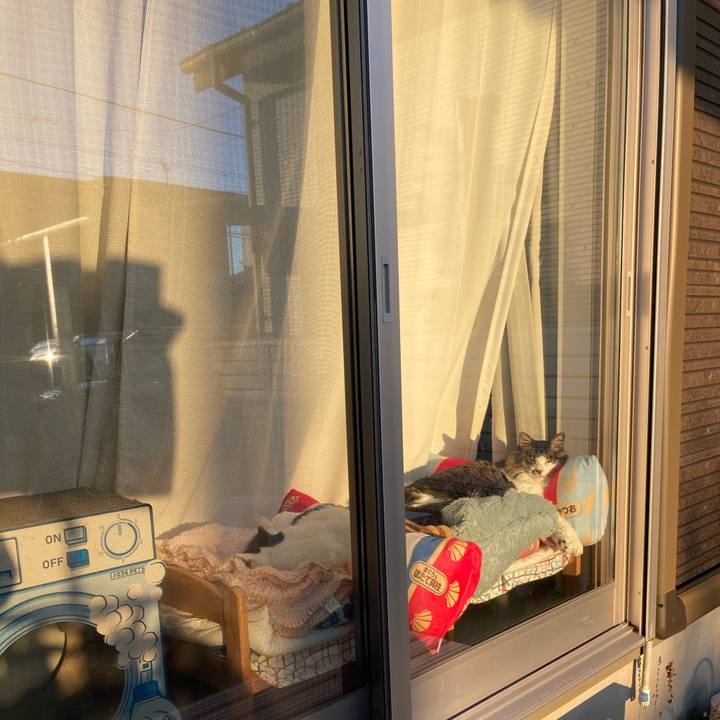 C925133c 4150 4f1d a22e 89708a401fac 1765091432802