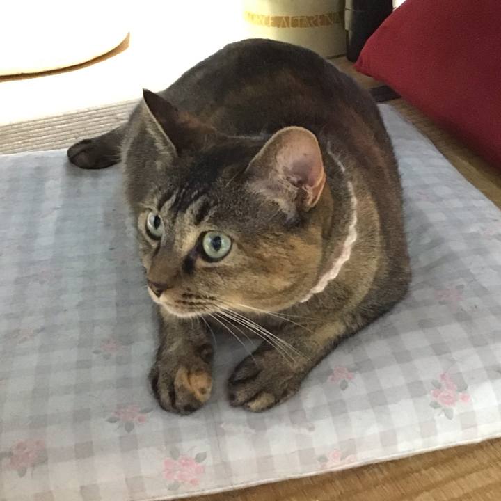 C92515f2 dc0a 4c11 bd72 8cb69613290c 1695900045807