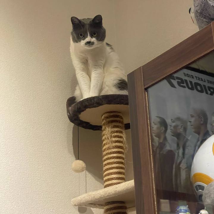 C92537b9 2968 4720 9348 49de18c630a2 1718806334439