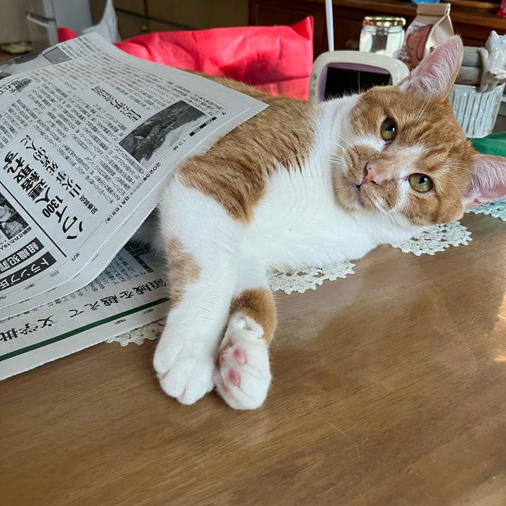 C92561b4 db24 41c8 81af 30eeec0e15e1 1692139327402