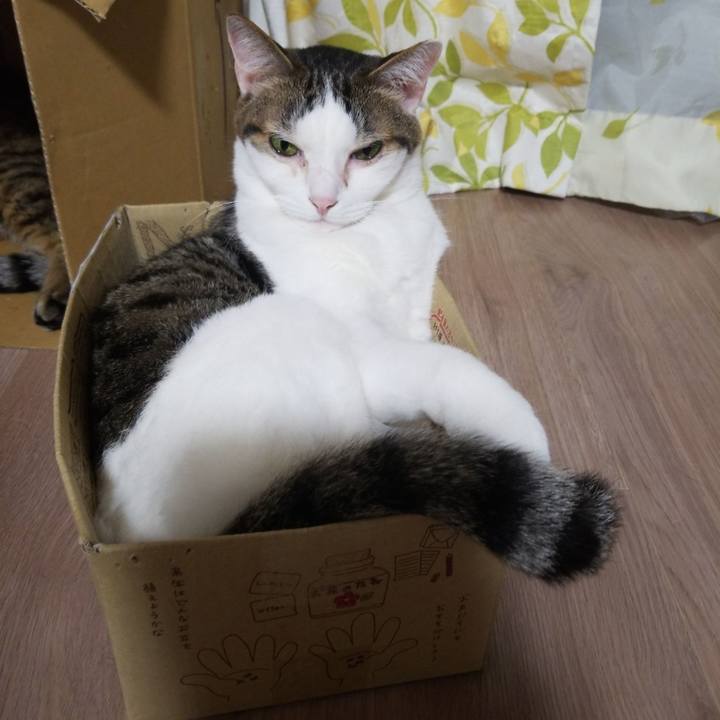 C9258129 cb4c 4c8d 8e59 de3180db970d 1587467000281