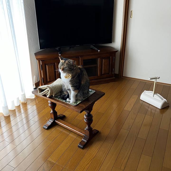 C925951b b1f8 4eb6 a962 43428fe56462 1772160282138