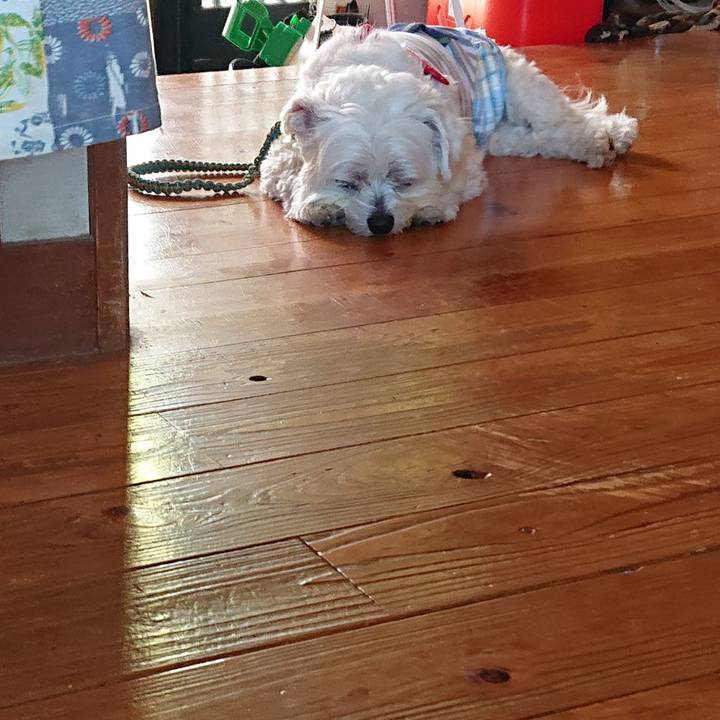 C925b67b 29c1 410d b428 39f820fae79b 1651749484382