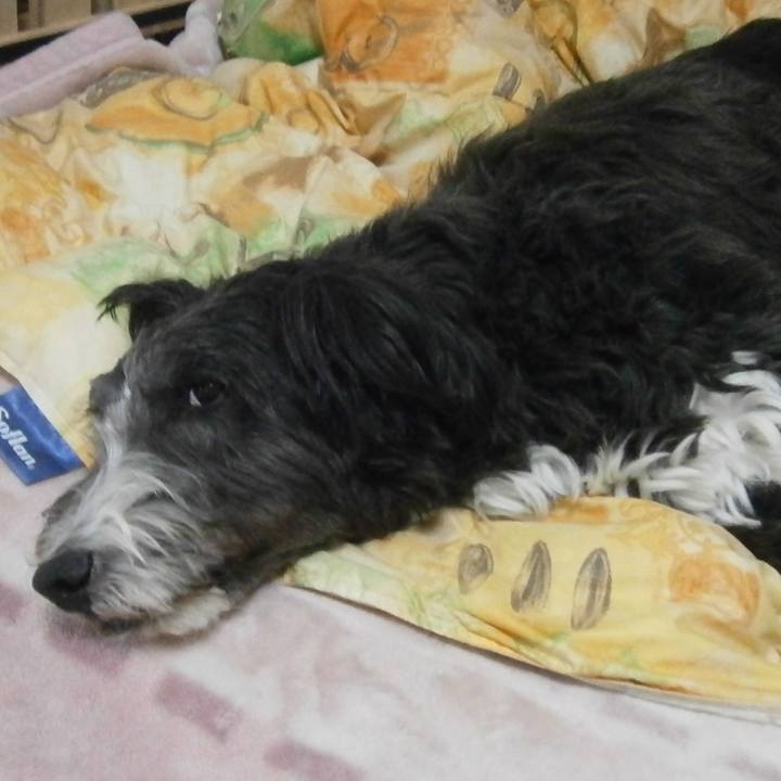 C925dcc7 3381 45a9 81a4 605fec5eaabb 1538477719709