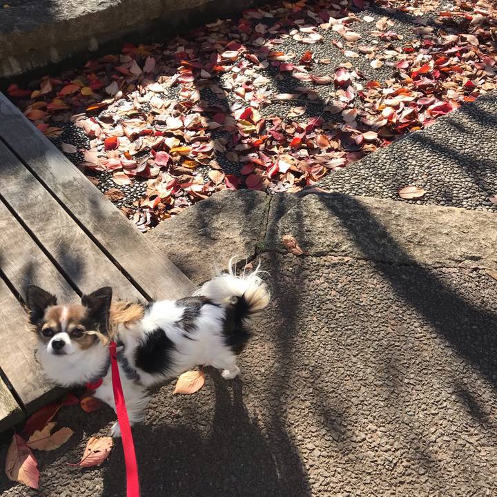 C926086e baa2 4a34 9b23 9dc2418a61de 1574994604717