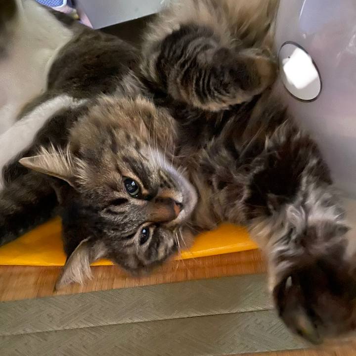 C9264772 4bb1 4e3e 8f3e 151c201aa975 1683384535235