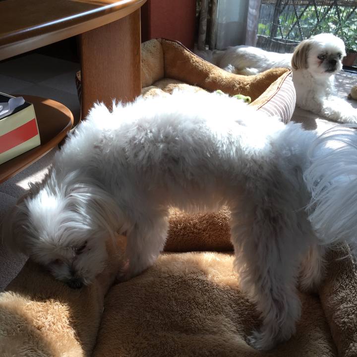 C9265e30 efd1 4090 ae31 a27379bfdb6c 1507776682818