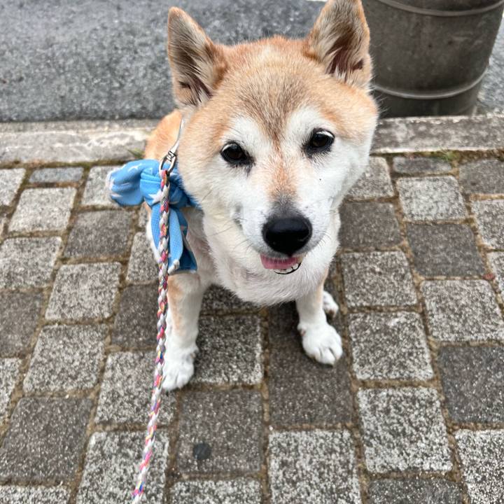 C92687c0 dcab 40a2 bf2a 9acdeabf0d25 1752232974163