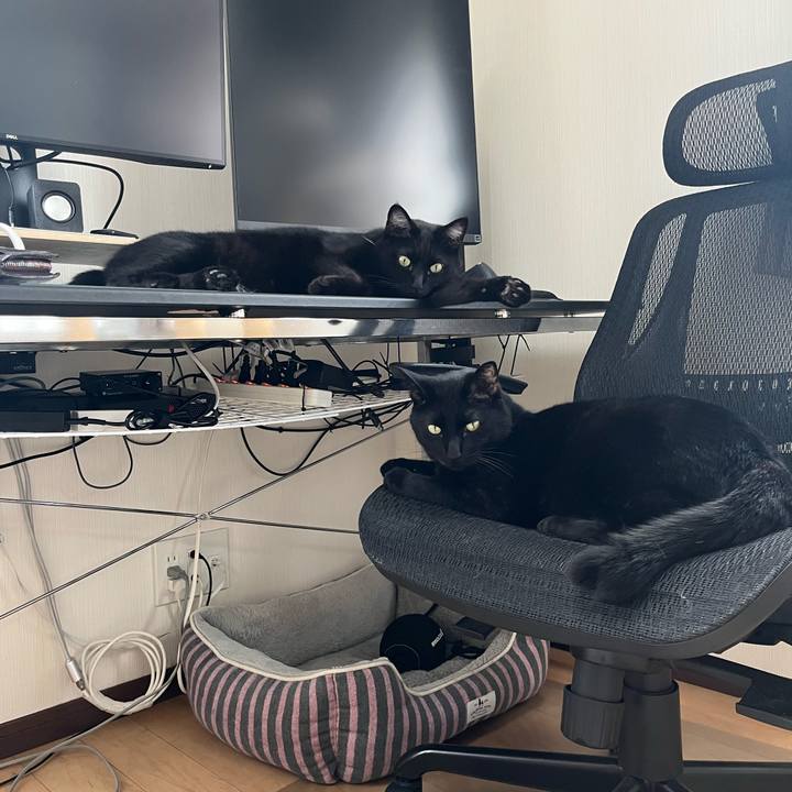 C926e93b 74eb 48db bafc c3b488bb1c8d 1686095010830