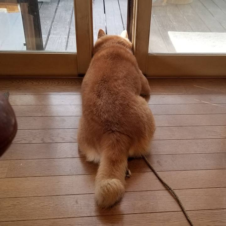 C926f1e9 684c 4307 9c0b 9d7439cd7790 1729121866297