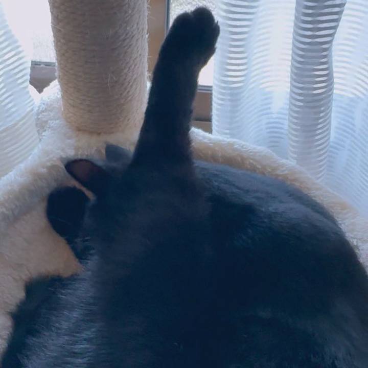 C9271e61 f816 449c 9fe9 b56d3309aa3d 1741658823615