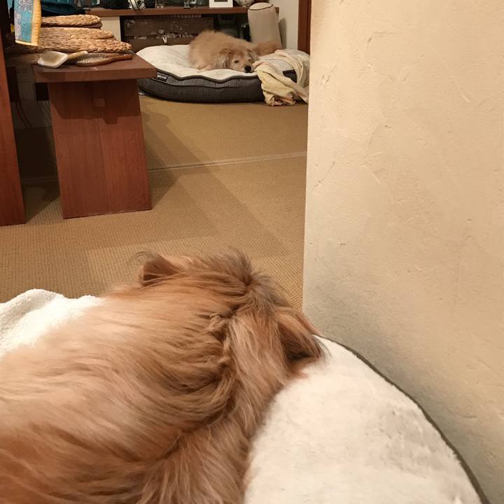 C92727b2 46dc 499d 9c93 cb1f55436dd6 1583767499181