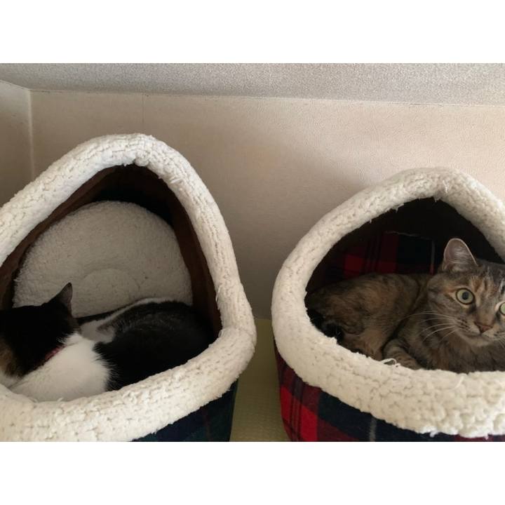 C9273b0c 9211 4046 9248 70b920fa4769 1761998766215