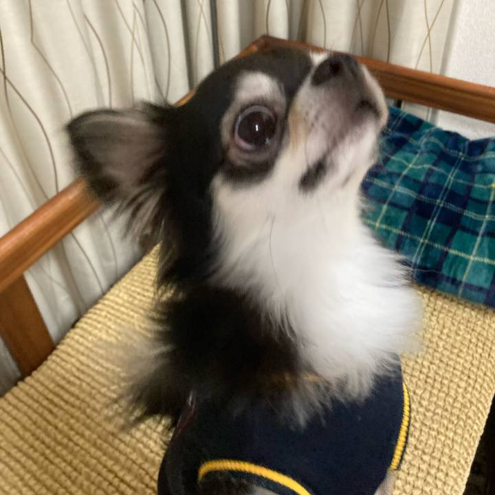 C9278b79 edd4 4ae8 8f2d 1fd05a44d4e5 1651324996098