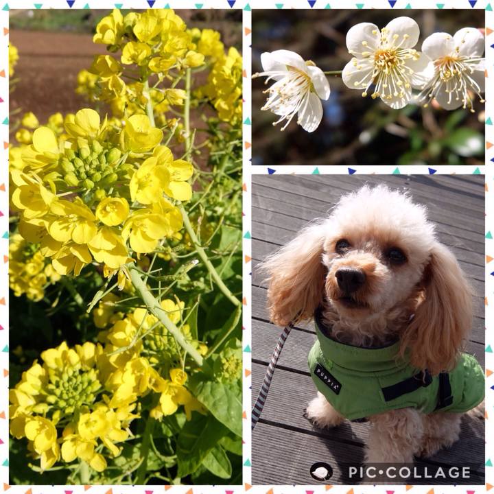 C9278ee6 bb19 499b b8fb ce81ba8ed093 1548065790244