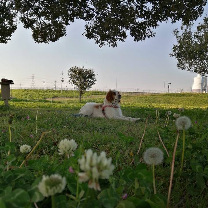 C927be4b 1404 469a bdfc c58e8f8d16b7 1618832254377