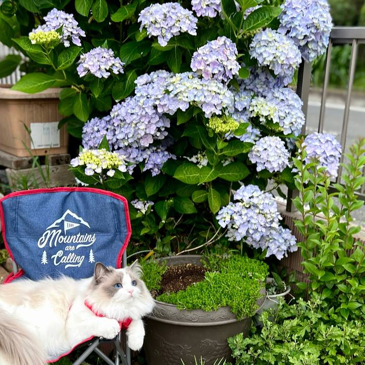 C92821a8 e203 4837 82fb 635349d6d41b 1654676121646