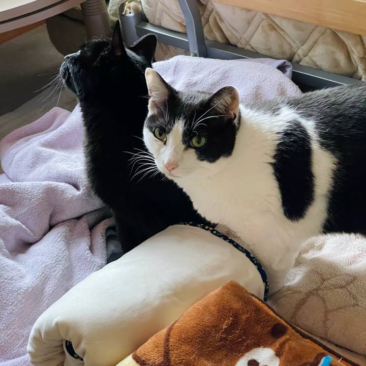 C92822ab 5e5c 4458 8464 8f4ee1e78b82 1654224404484