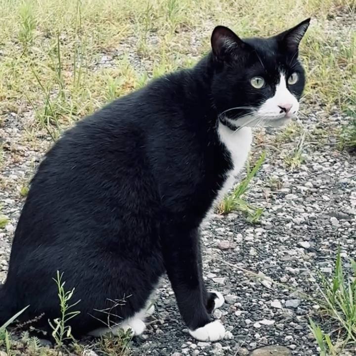 C9282f34 8b2d 47fc b051 15fefa78dbca 1757749324836