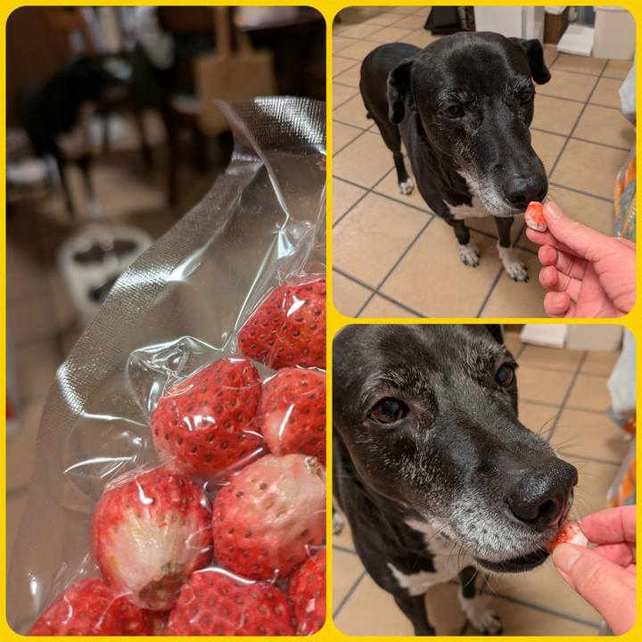 C928361f 8460 4246 b959 ffab210918f2 1738235068067